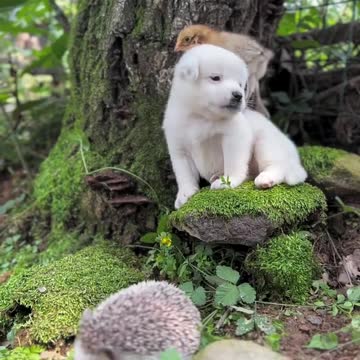 Aww so adorable 🥰