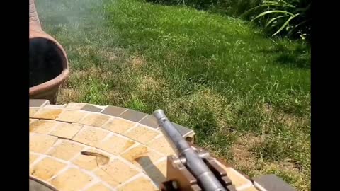 Celebrating the 4th of July with signal cannons