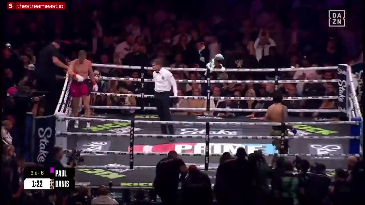 DILLON DANIS TRIED TO TAKE DOWN LOGAN PAUL DURING THEIR BOXING FIGHT