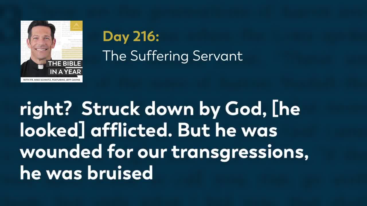 Day 216: The Suffering Servant — The Bible in a Year (with Fr. Mike Schmitz)