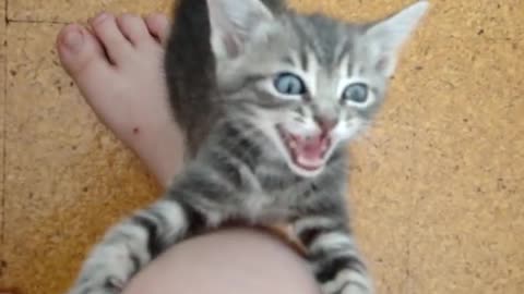 SCOUT IS HUNGRY!!!