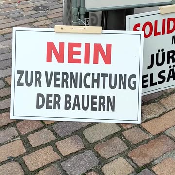 Schilder - Mahnwache Nr. 238 - GD - 10.09.2024