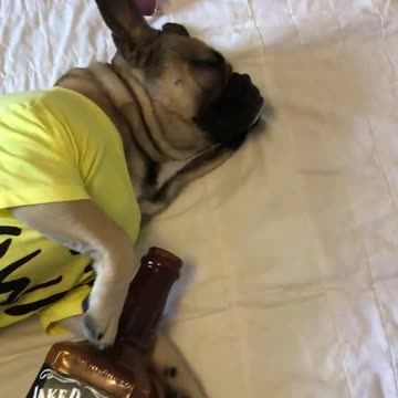 How’s your lockdown going?