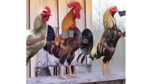 Chicken Avenger team