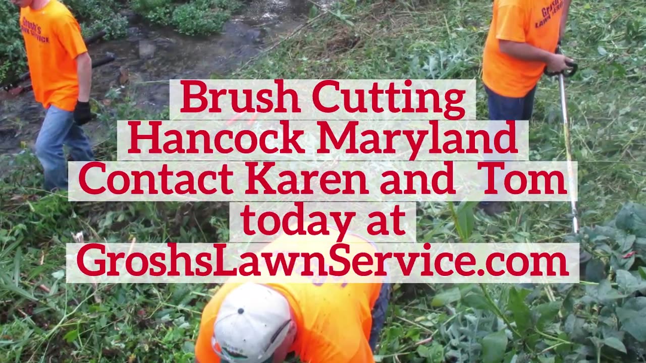 Brush Cutting Hancock Maryland Landscape Company