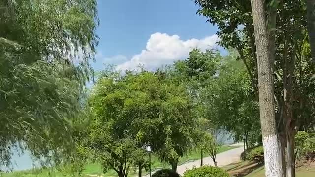 The breeze blows the plants by the lake, making people feel good
