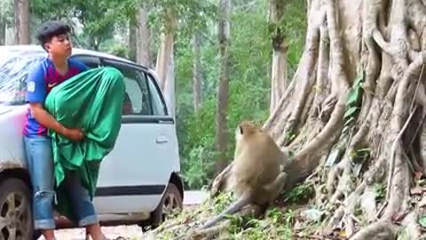 Funniest prank with 🐒monkey🐵!! Fake tiger prank with monkey!!! Amazing