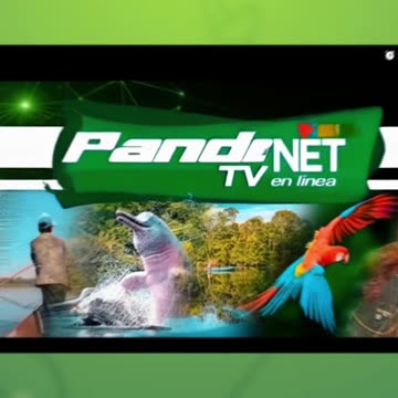 Pandonettv