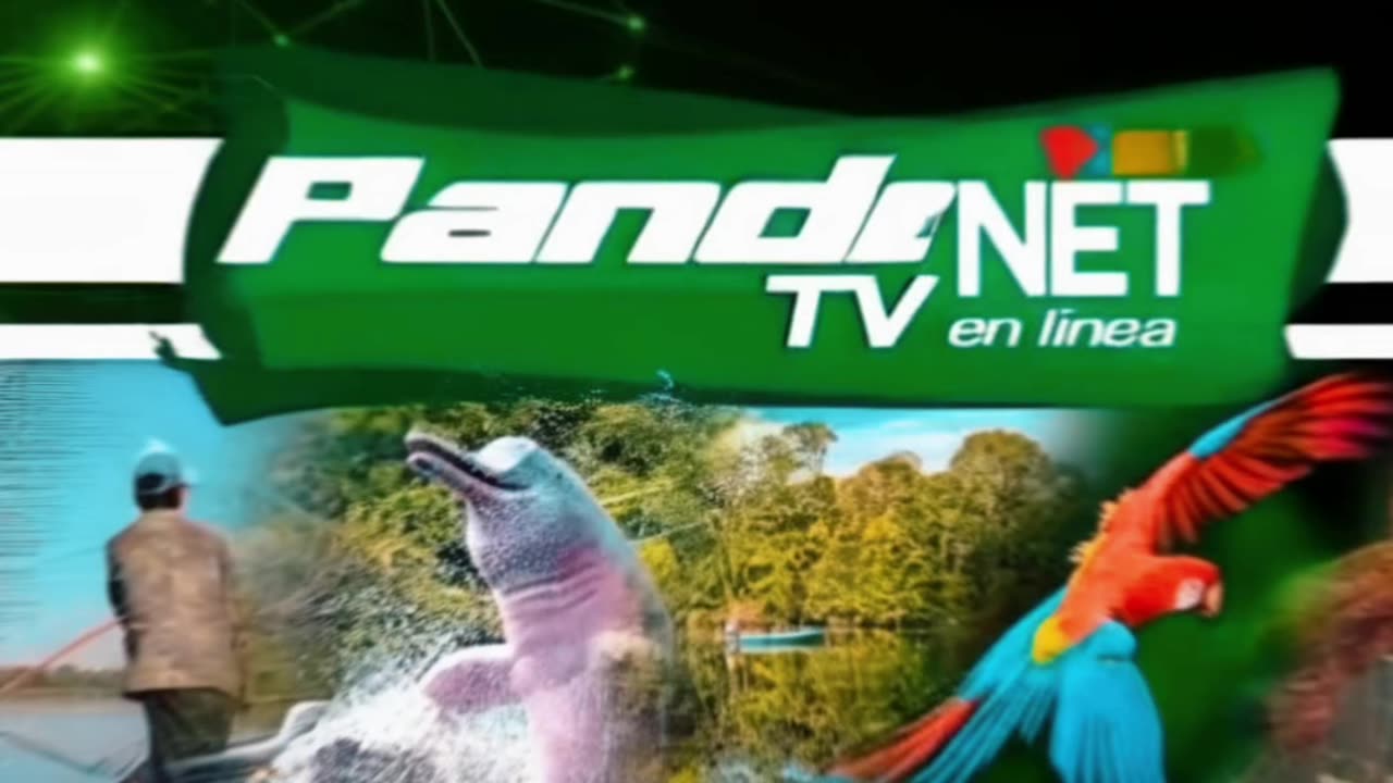 Pandonettv