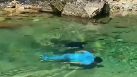 calm summer swim