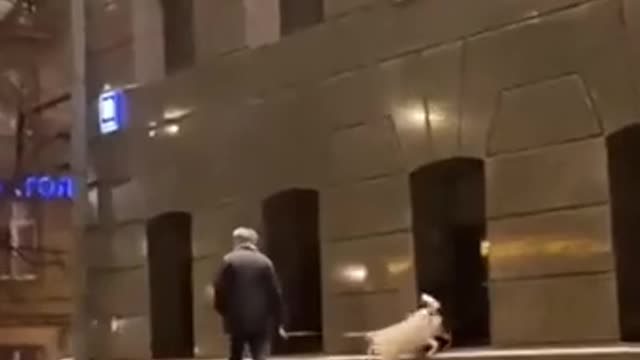 Walking the dog