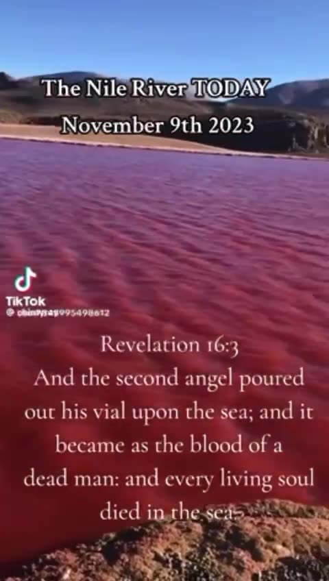 Q Said To "Watch The Water" and "It's Going To Be Biblical "....Coincidence?