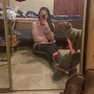 Cookie Dough. Aussie