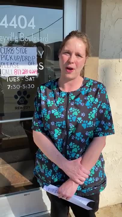 WHY AMERICA NEEDS TO GET BACK TO WORK | Stories from ACTUAL BUSINESS OWNERS | Dog Groomer