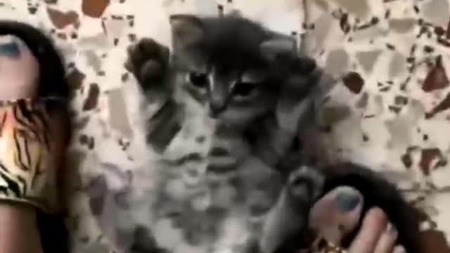 Share baby pets from time to time