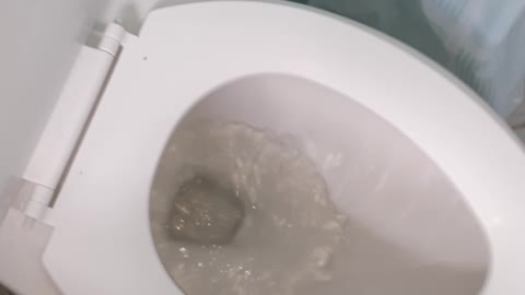 Woke In The Great Reset