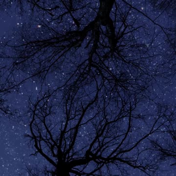 Guided Meditation for Manifesting Abundance and Prosperity 💰 #meditation #abundance #shorts