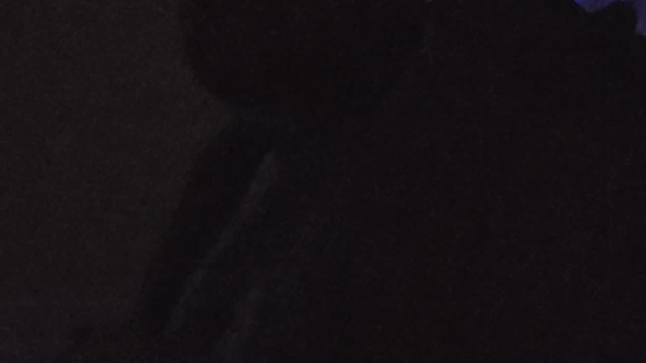 Mind vomit 12/13/2024