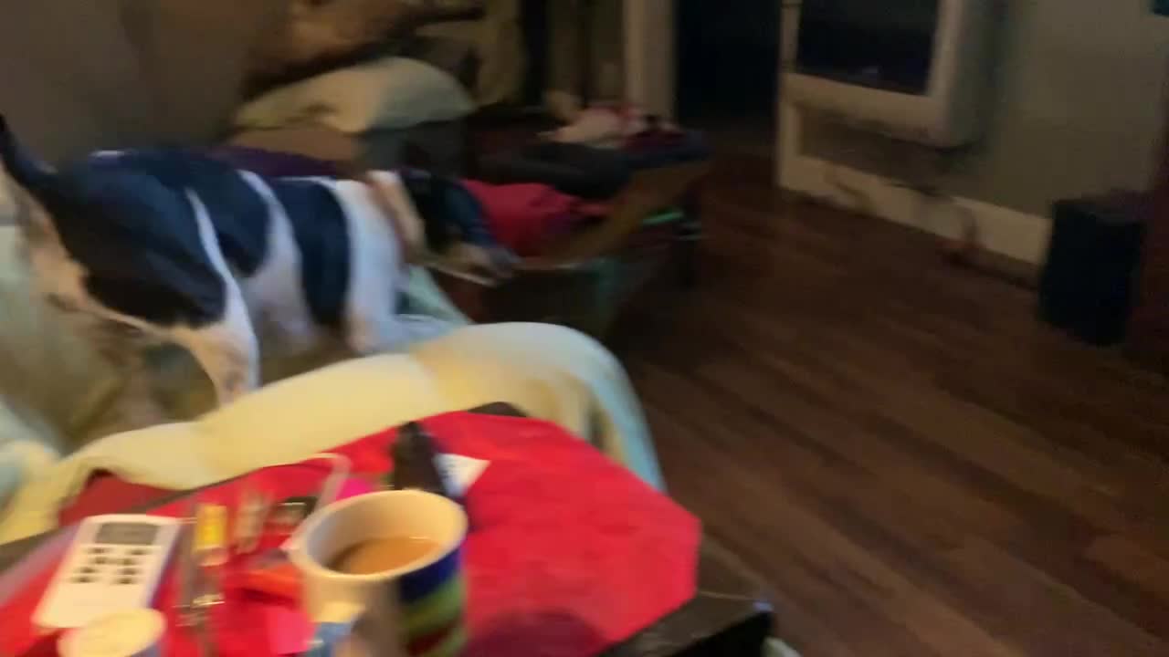 She is a bully.....