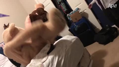 The Best Way To Scare Your Friends _ Screaming Pranks Compilation
