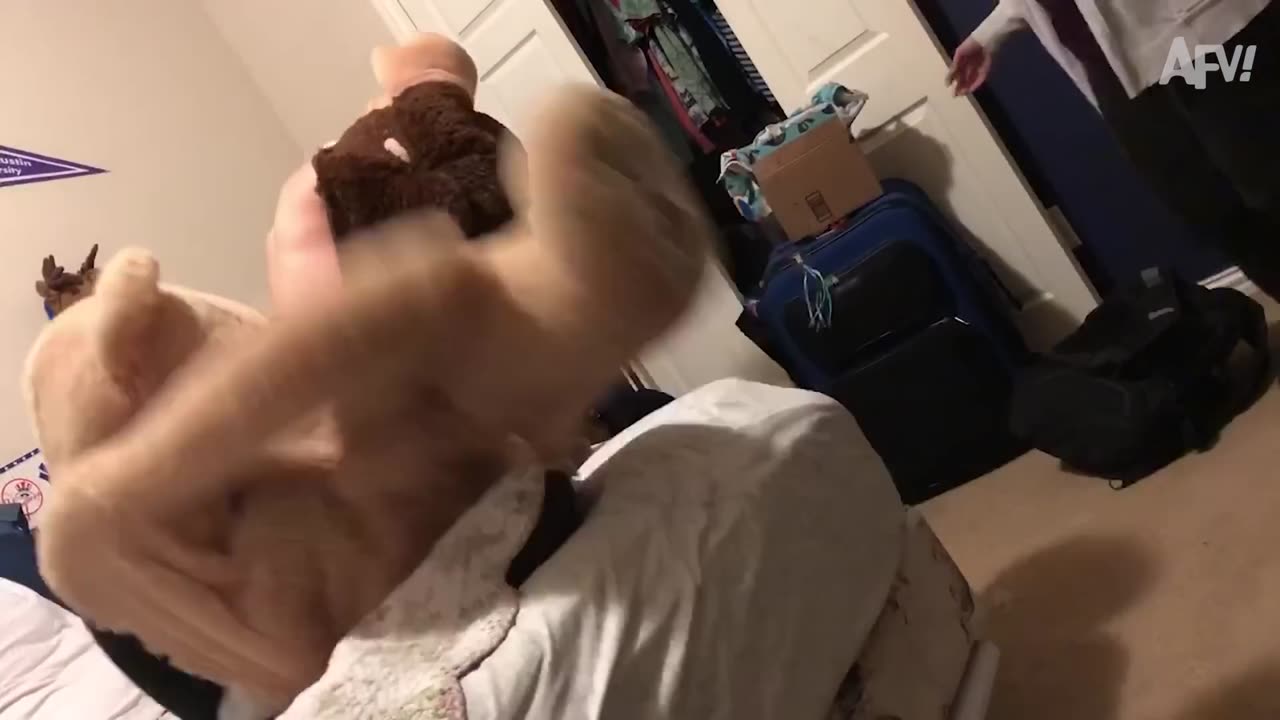The Best Way To Scare Your Friends _ Screaming Pranks Compilation