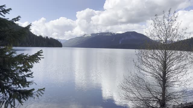 Shoreline Trail View near Thetis Section – Kachess Lake Campground – Washington – 4K