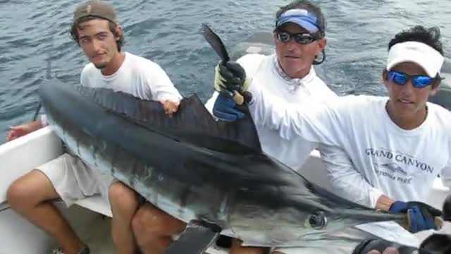 Galapagos Striped Marlin Fishing