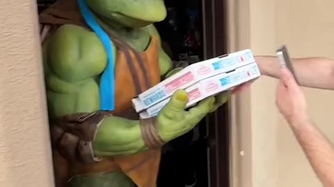 Surprising the pizza delivery guy with TMNT