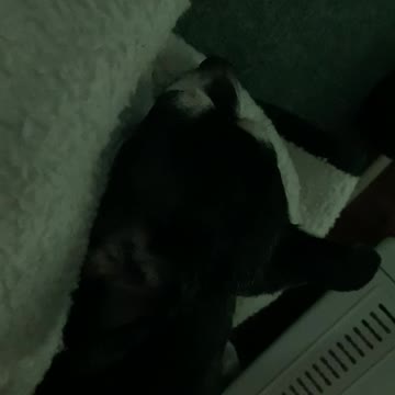 Sleepy time for the sister