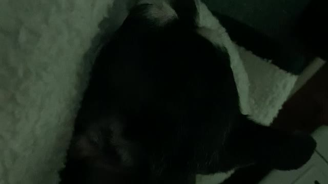 Sleepy time for the sister