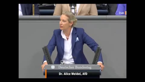 Können sie bitte ein bisschen leiser sprechen da hinter mir - Alice Weidel im Bundestag