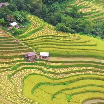 Hà Giang - Famous tourist destination of my country (Part 2)