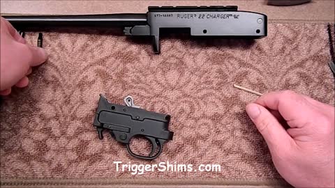 Ruger 1022 Trigger Tear Down Video Part I