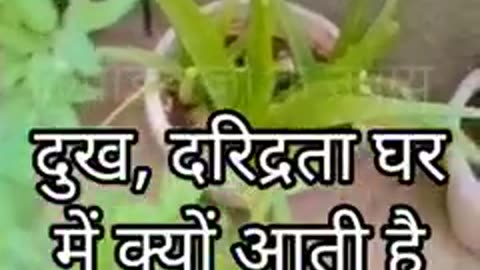 दूख क्यों आता है आप जानते है