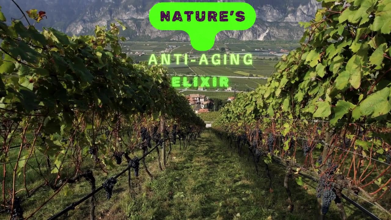 NATURE'S ANTI-AGING ELIXIR RESVERATROL HEALTH BOOST