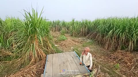 Indian farming 😱