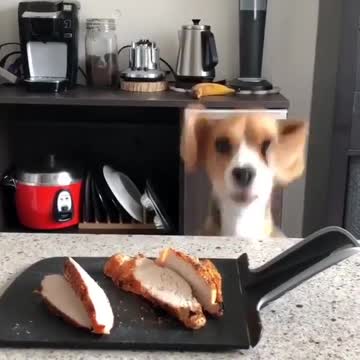 When you are hungry and food is just next to you BUT how to get it?