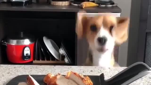 When you are hungry and food is just next to you BUT how to get it?