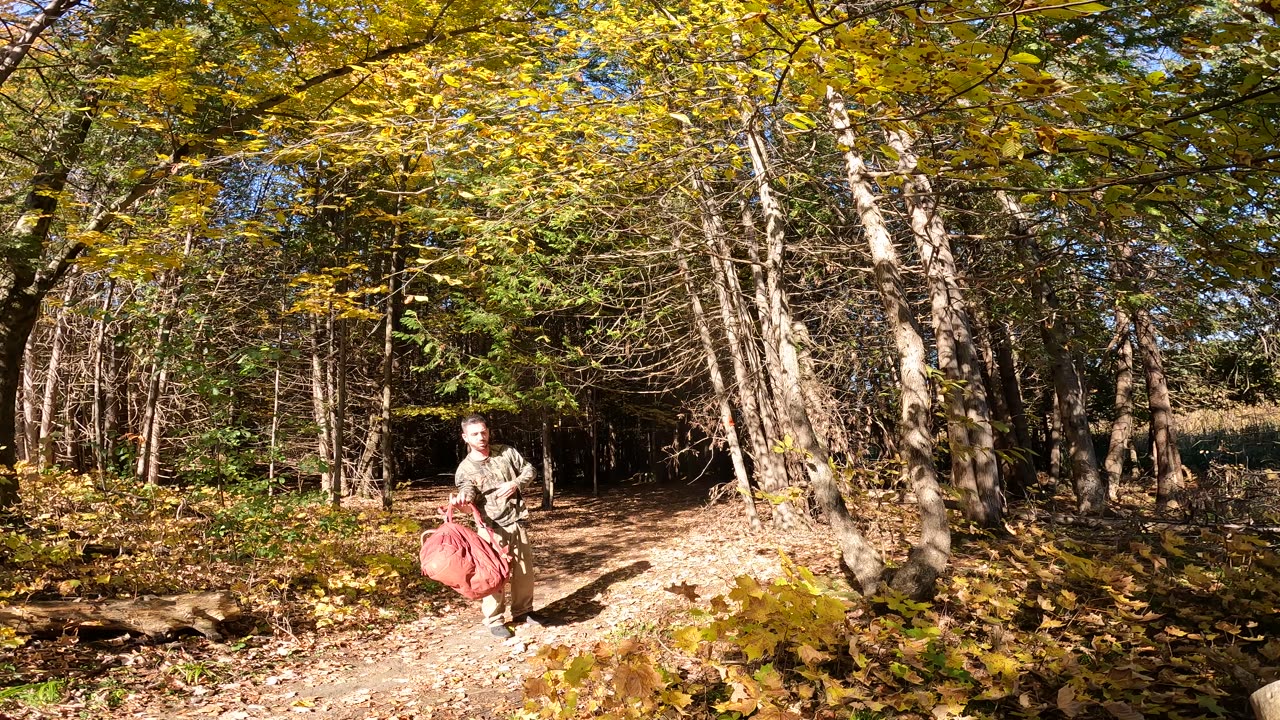 ☀️ Hiking Trans Canada Trail in Ottawa Part 2🍁🍂 Fall Edition 🐍 Found A Snake In The Woods 🪵