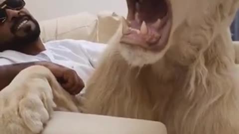 Make sure there is lots of meat available always