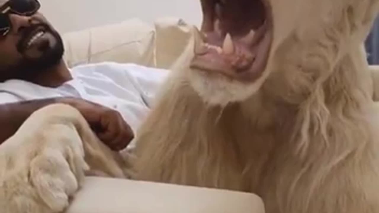 Make sure there is lots of meat available always