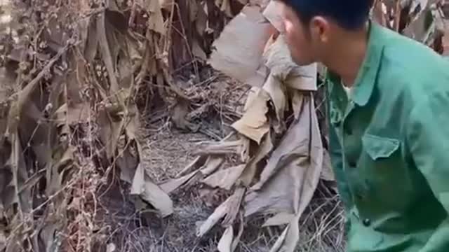 Try not lunch