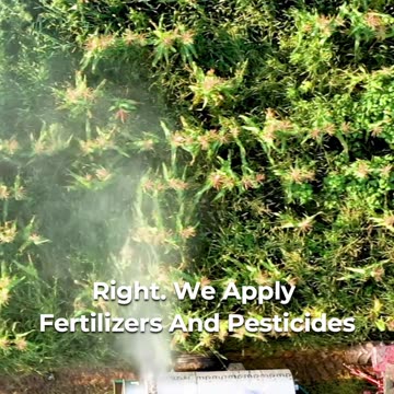 🚰 Essential Insights Into Water Pollution 🌊