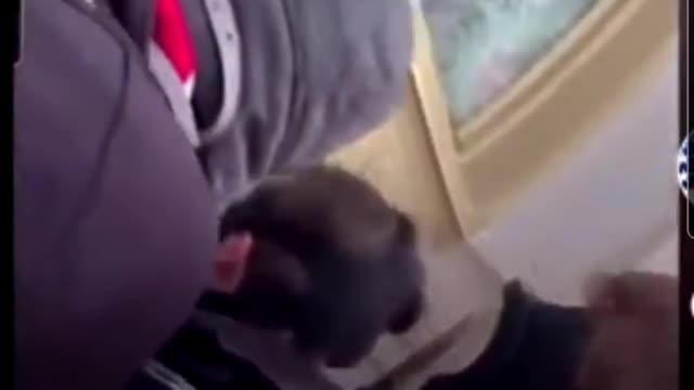 Antifa handed bats from INDIDE THE CAPITAL‼️‼️