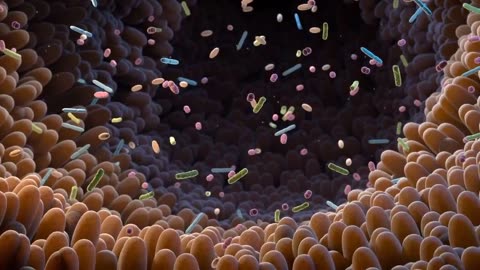 The CARB More Deadly than Sugar SURPRISING