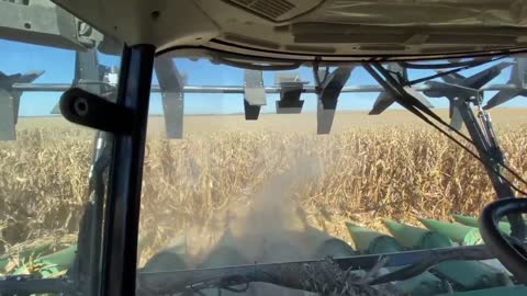 Combine Harvesting