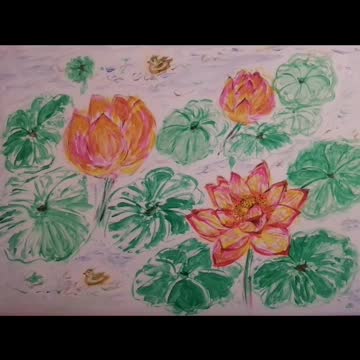 Water lily pond picture