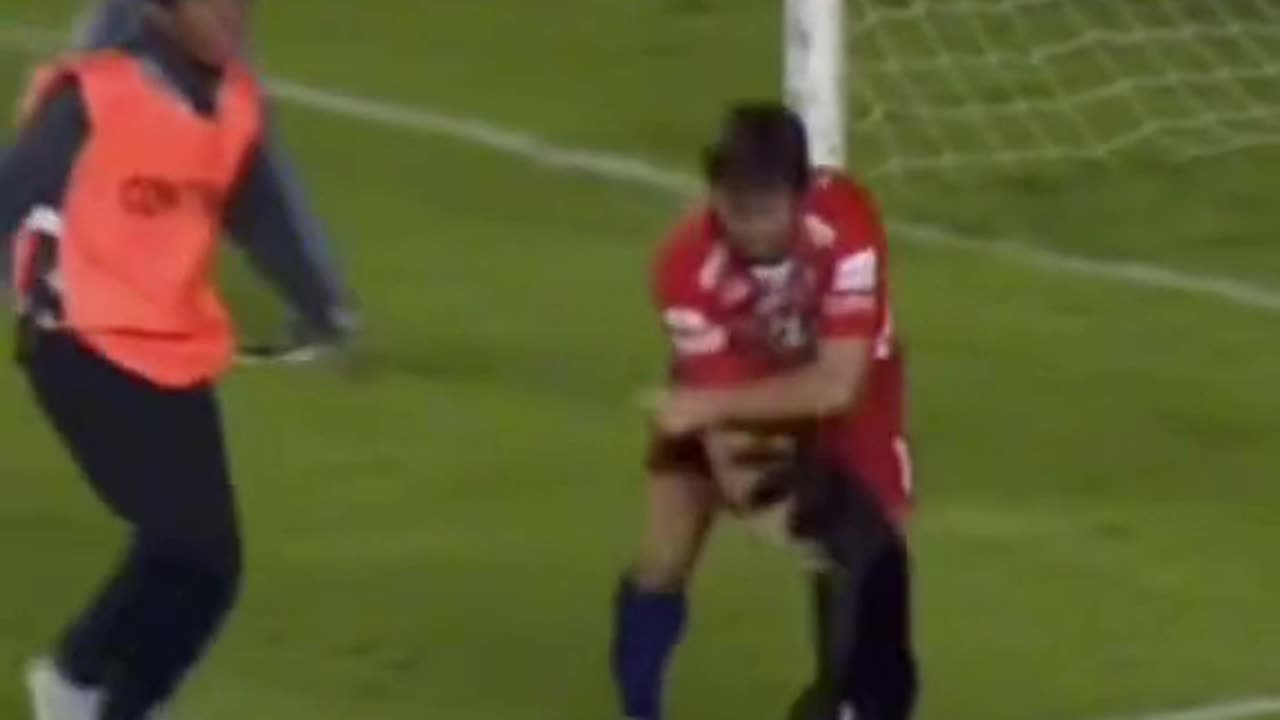 Ball boy saves a dog from an aggressive footballer