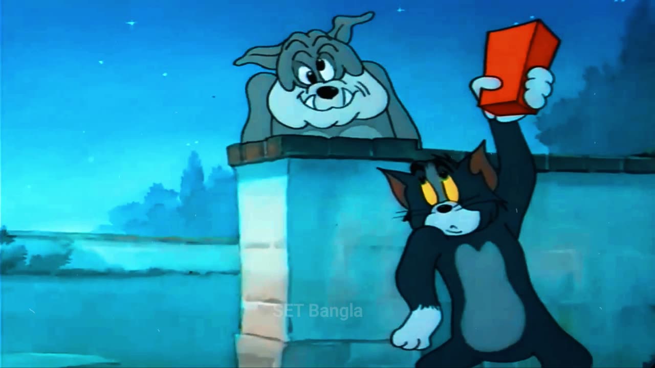 Bodyguard Tom bangla cartoon