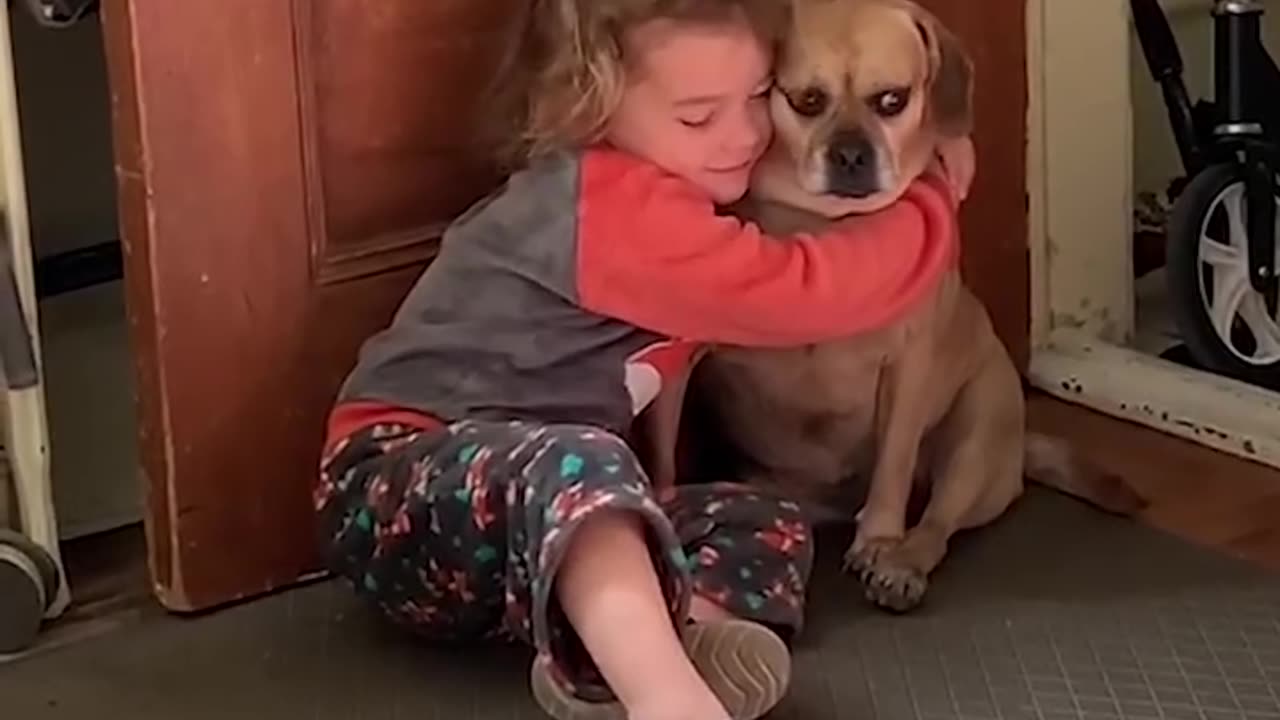 Kids and Dogs